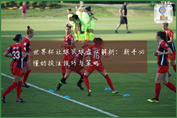 世界杯让球买球盘口解析：新手必懂的投注技巧与策略