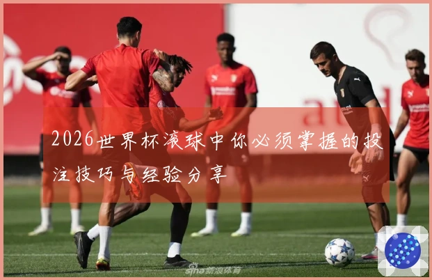 2026世界杯滚球中你必须掌握的投注技巧与经验分享