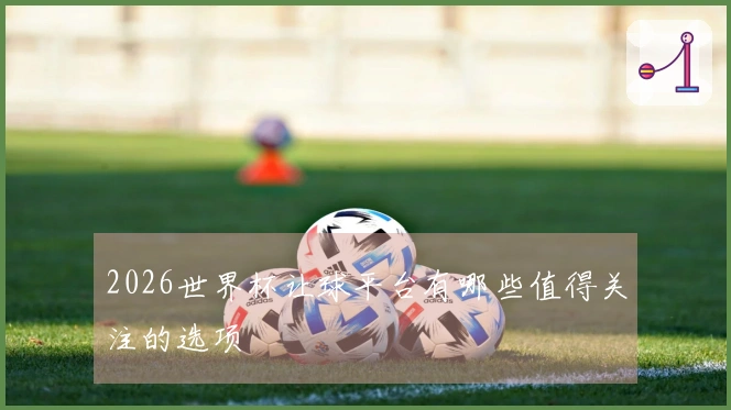 2026世界杯让球平台有哪些值得关注的选项