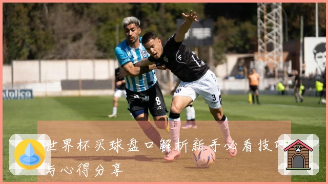 世界杯买球盘口解析新手必看技巧与心得分享