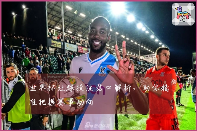 世界杯让球投注盘口解析，助你精准把握赛事动向