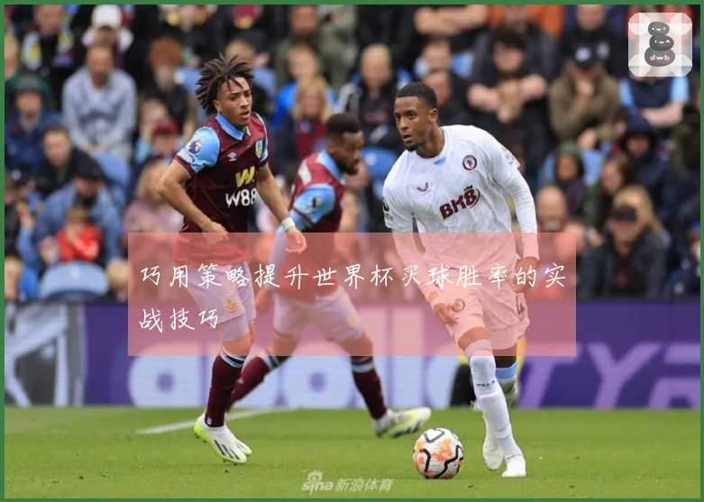 巧用策略提升世界杯买球胜率的实战技巧