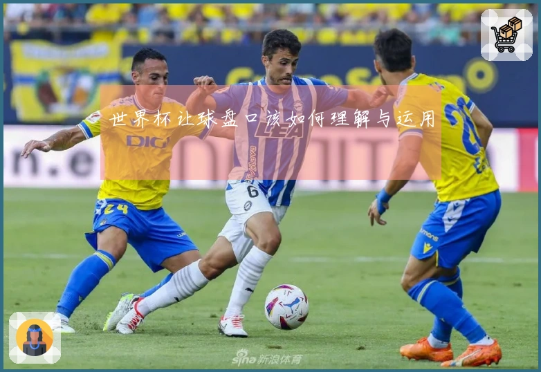 世界杯让球盘口该如何理解与运用