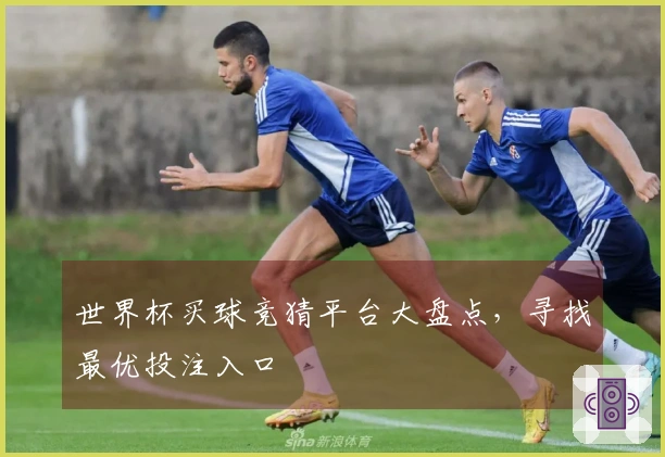 世界杯买球竞猜平台大盘点，寻找最优投注入口
