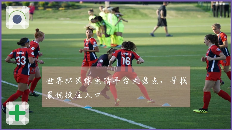 世界杯买球竞猜平台大盘点，寻找最优投注入口