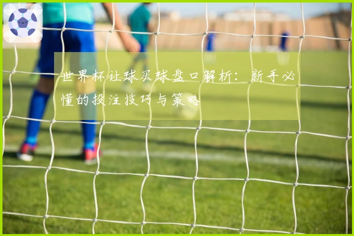 世界杯让球买球盘口解析：新手必懂的投注技巧与策略