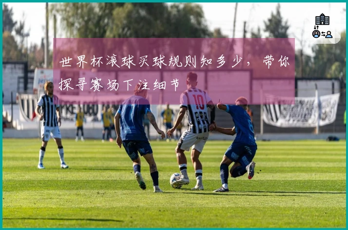 世界杯滚球买球规则知多少，带你探寻赛场下注细节