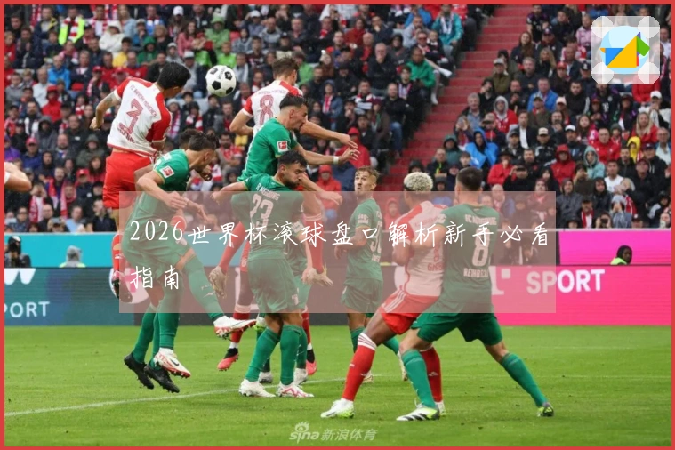 2026世界杯滚球盘口解析新手必看指南