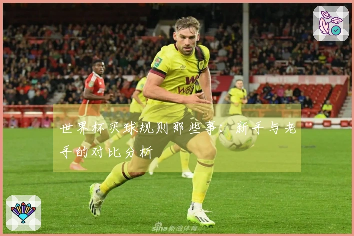 世界杯买球规则那些事：新手与老手的对比分析