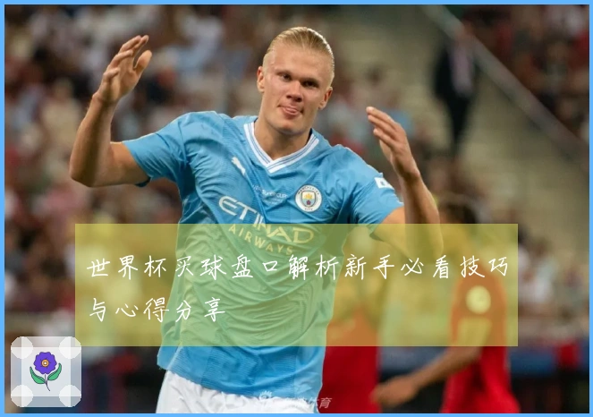 世界杯买球盘口解析新手必看技巧与心得分享